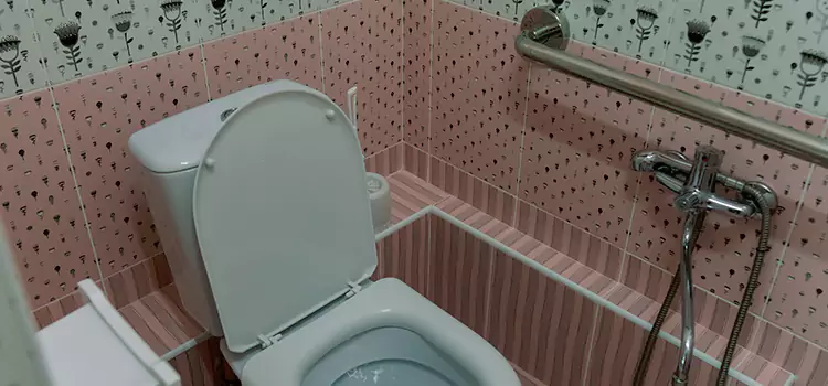 Meeting Diverse Needs With Accessible Restroom Solutions in Ilchester, MD