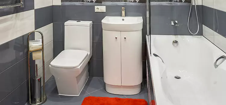 Hansgrohe Shaving Mirror Ilchester